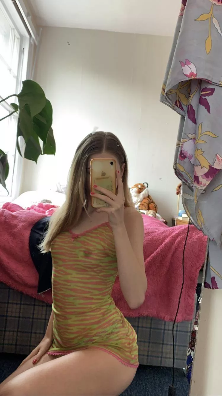 Tabby posted by localchavs