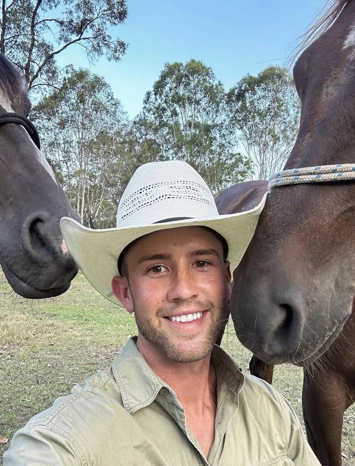 “What is the bravest thing you’ve ever said?” asked the boy. — “Help,” said the horse. posted by kay_zo