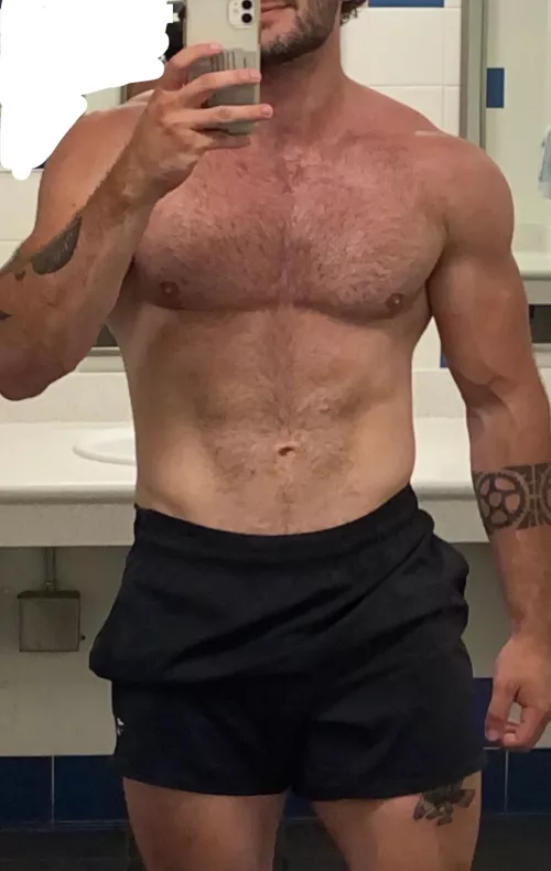 27M 6’4, fit, hung, experienced bull in western NC by BuffAndTall
