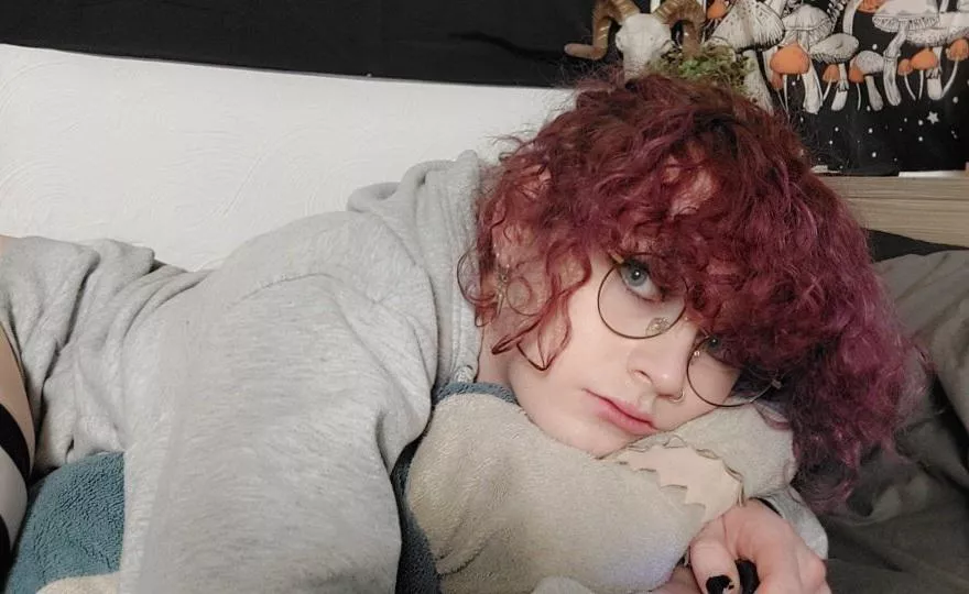 5 year anniversary of getting my Blahaj! I can't sleep without him anymore lol posted by NuniCult