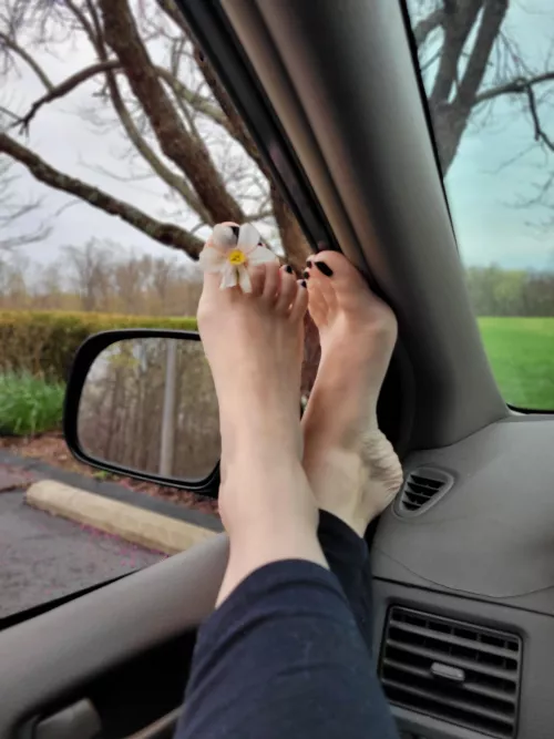 Awe thank you for the flower, I'm going to hold it here if that's ok :) by annajane8008