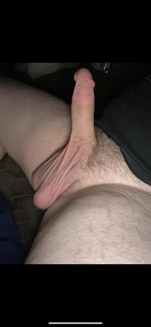 Beautiful Friday morning :) could really use a mouth on theses though by Cumberland562