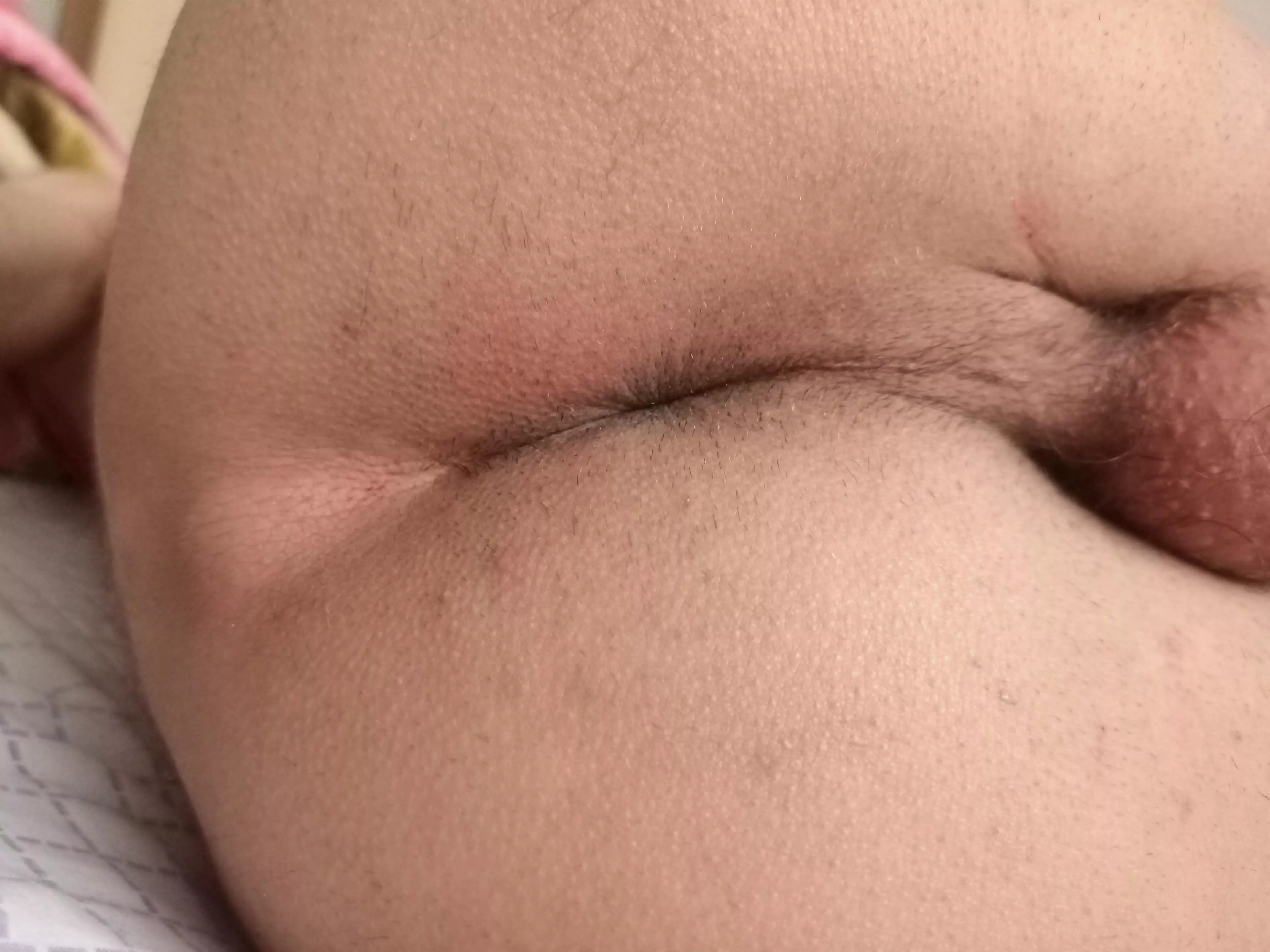 Do you like my ass ?if yes then plug me .. posted by Aloy_sard