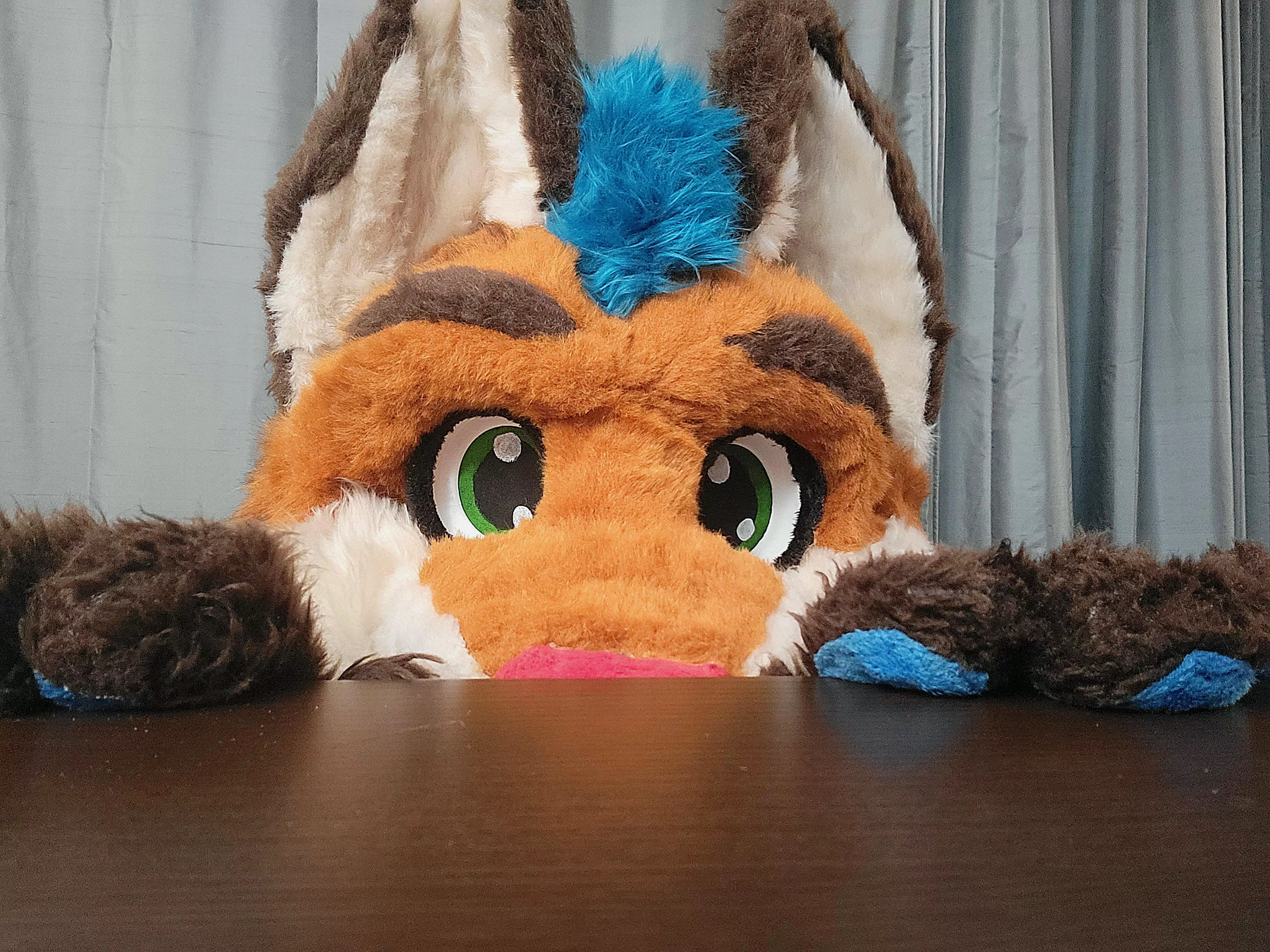 I spy a cutie! 👀 posted by quixxotk