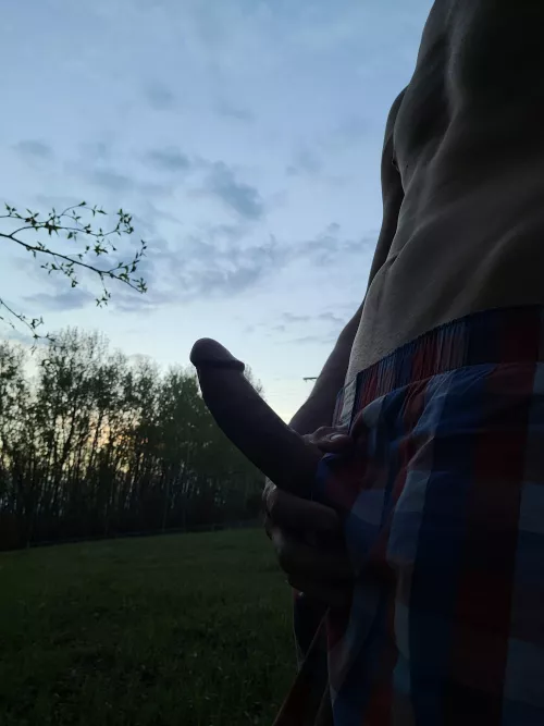 Just gonna leave this here by DefiantWalk6726