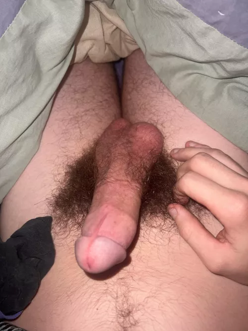 Love hairy cocks by joemichael935