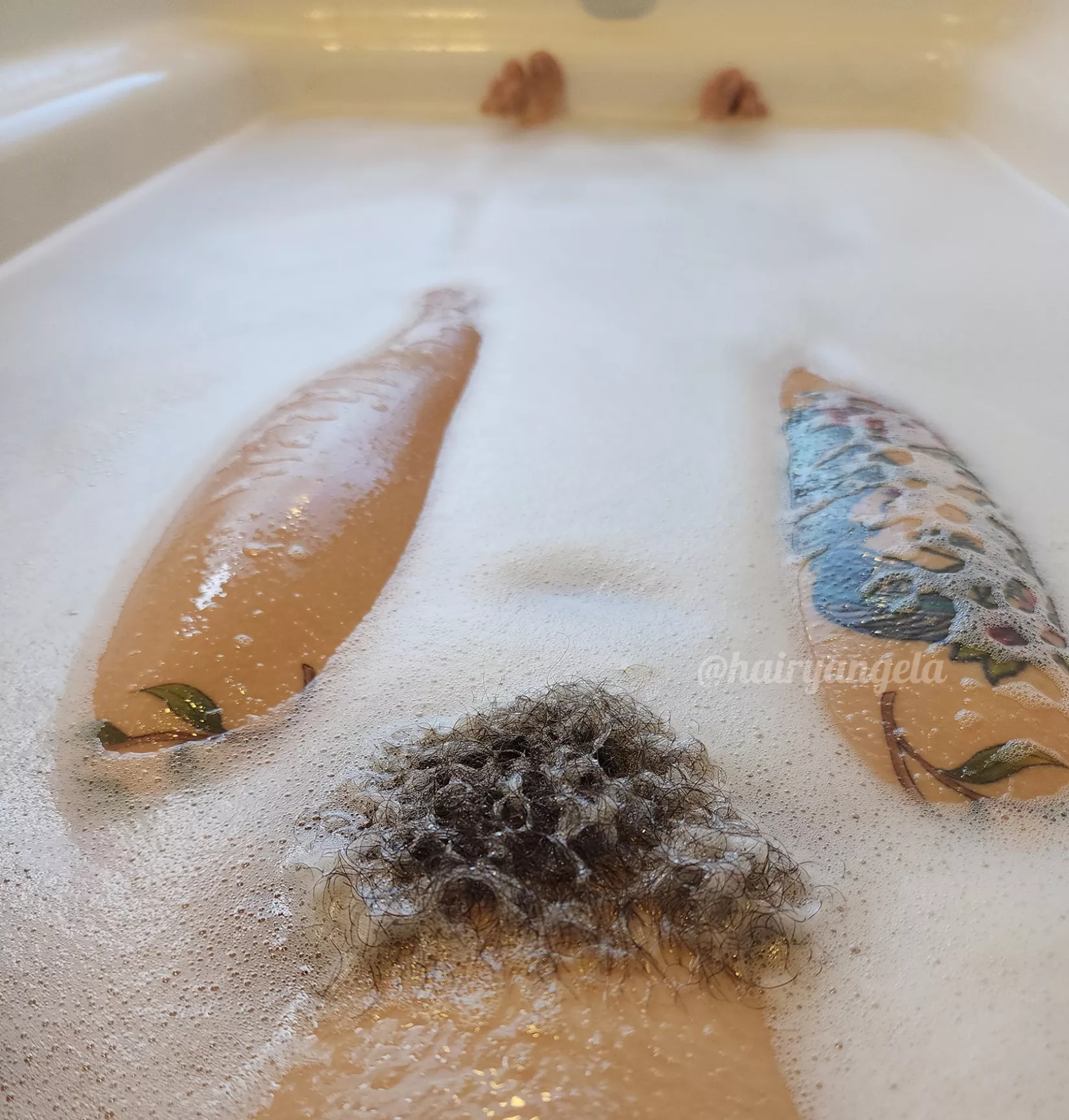 My bush saying hi (: posted by hairyangela