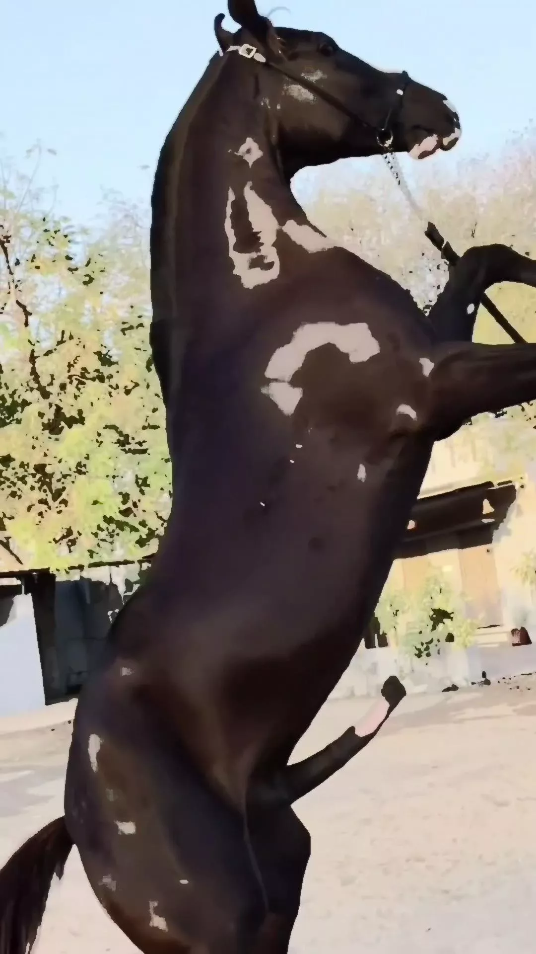 Powerfull 🔥🔥🔥 posted by SubstantialInitial93