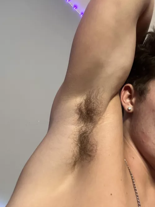 Sniff the musk by idealimmunitdsfds