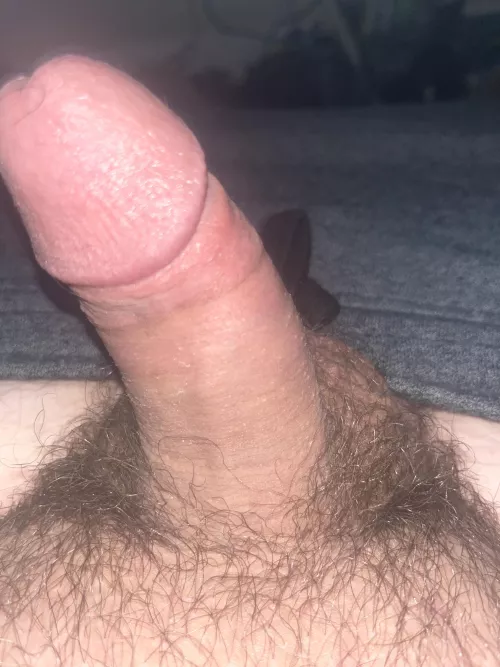 Someone hmu please by Mountain-Ad-8142