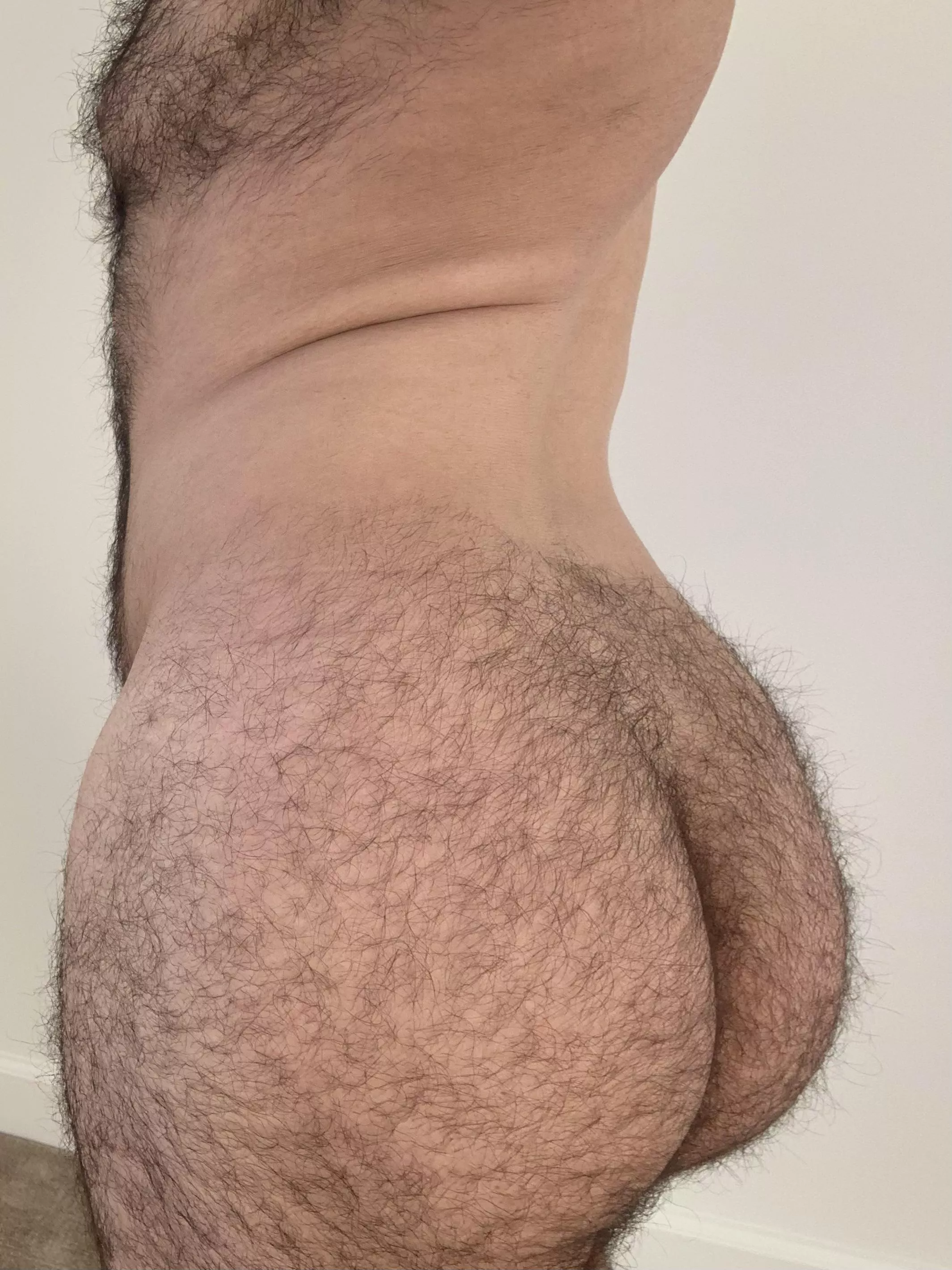 STRAIGHT & HAIRY GUY HERE… BUT I SOMETIMES WONDER IF I NEED TO BE BOTTOMING WITH AN ASS LIKE THIS posted by Utsukushi_Sa