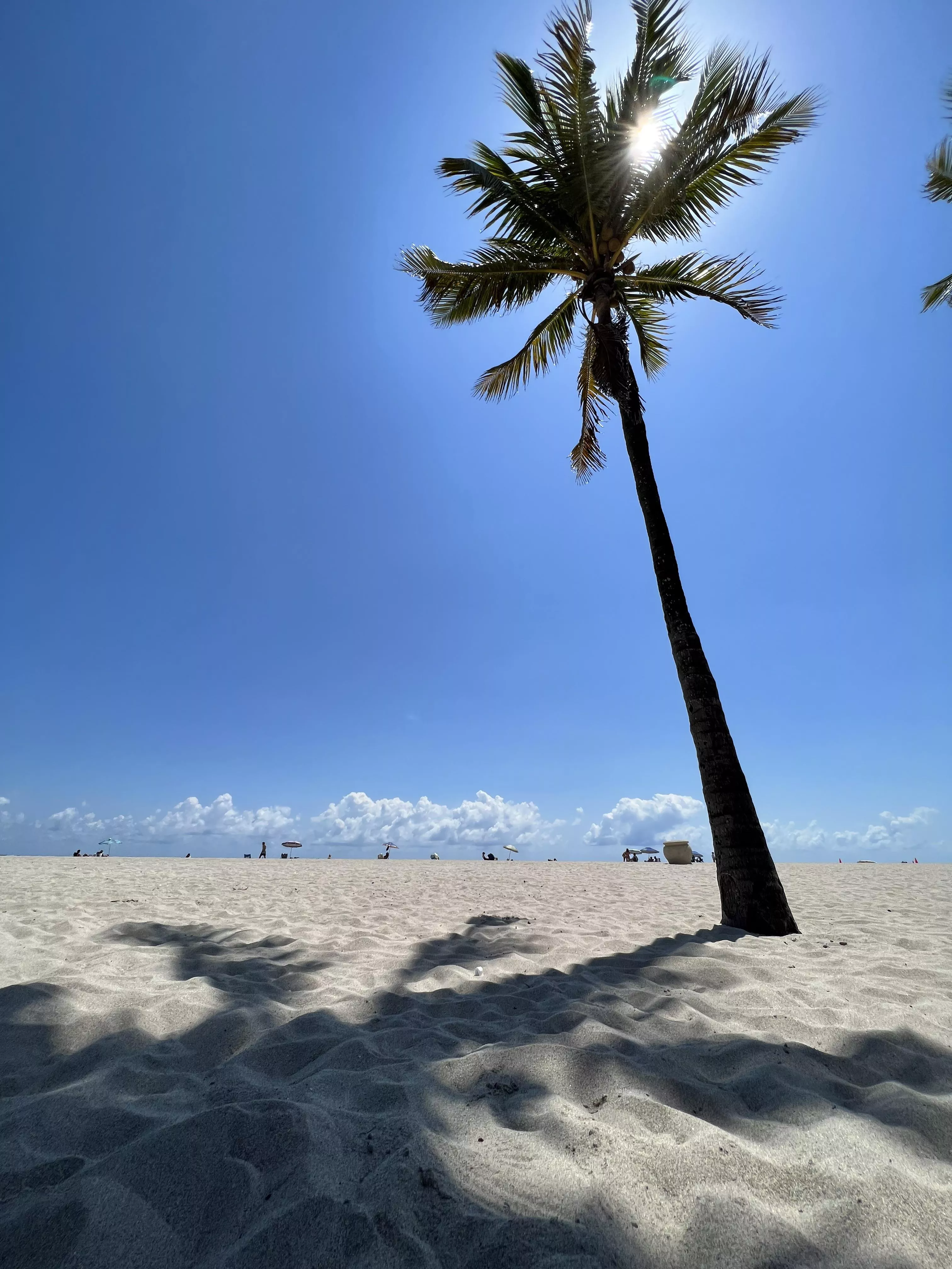 Such a lovely place posted by Lunayla