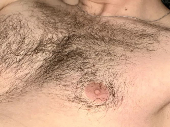 Texture by vierendeel