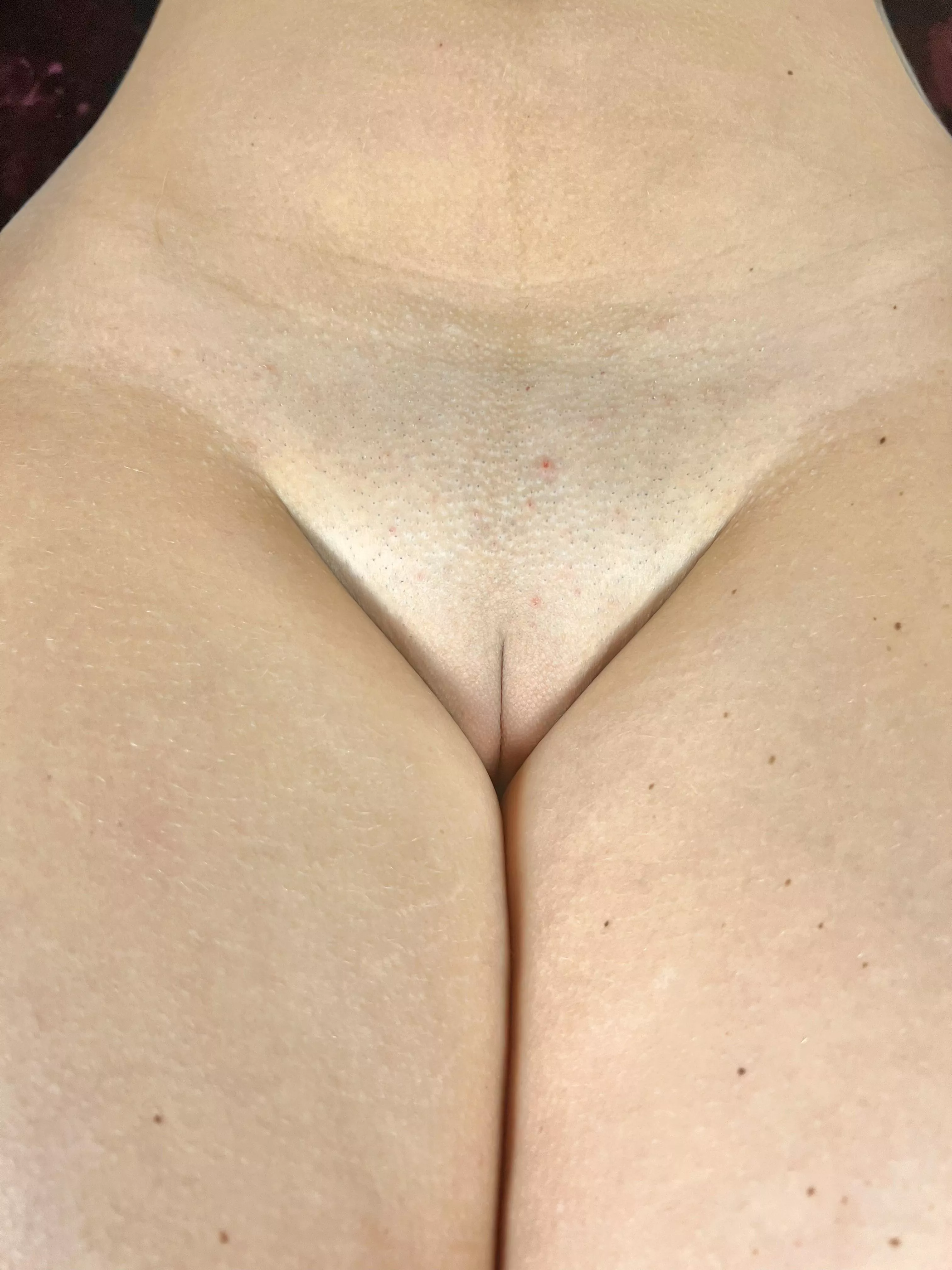 The Front View That You Were Asking For posted by TattedBlondeshell