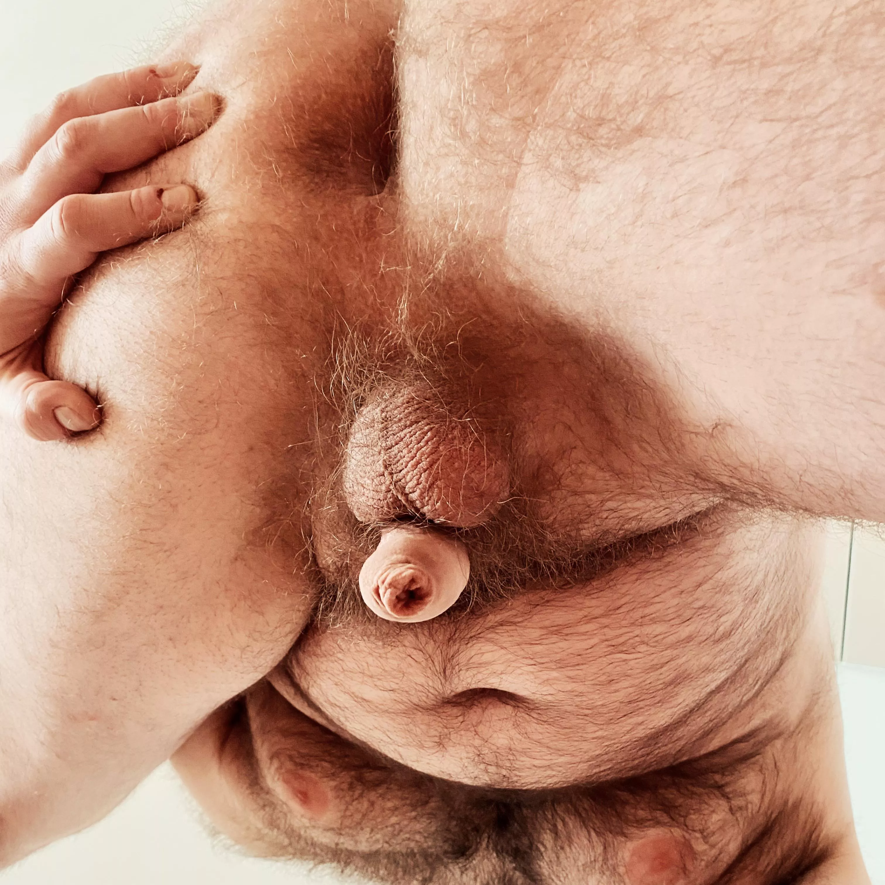 You wanna taste? posted by HairyMaxx