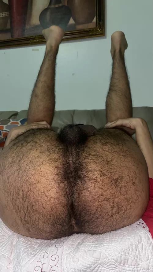 22 bottom here sc: hairybr1 by Alert_King5502