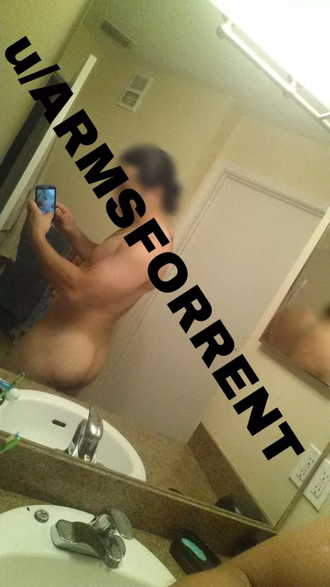 41M Respectful latino bull in Augusta GA posted by armsforrent