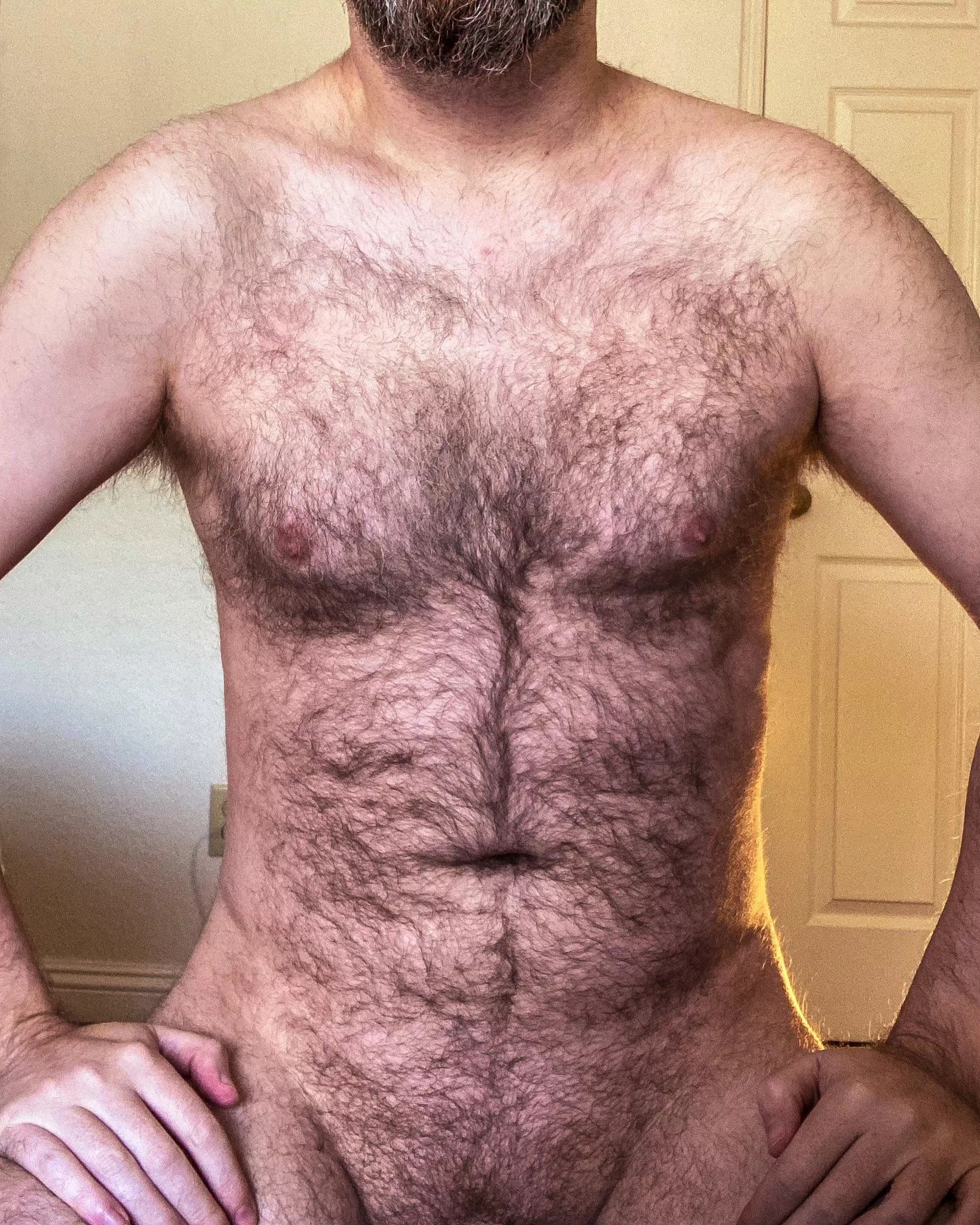 43 What do you think about my fur? posted by WantingProject