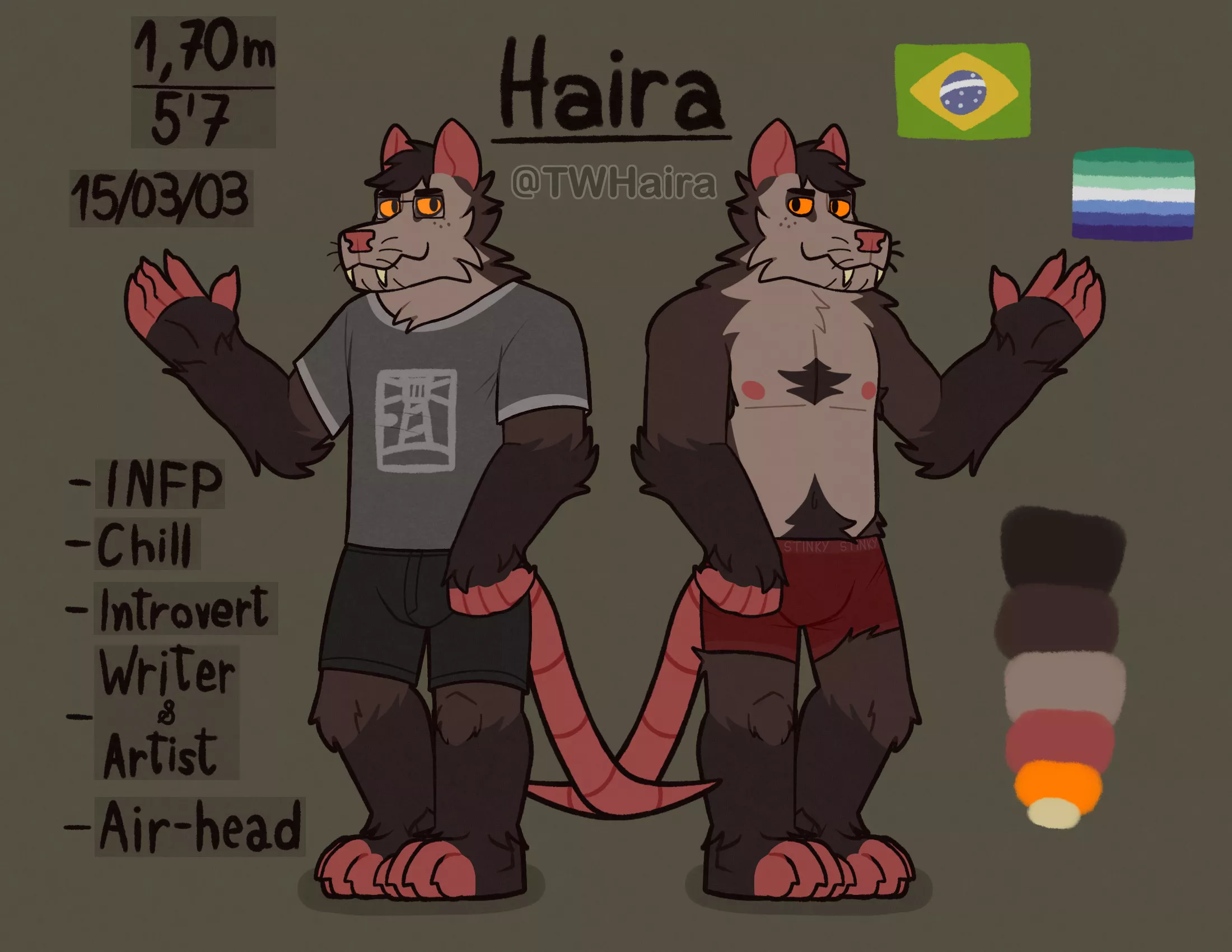 A ref sheet of my sona posted by lucasksks11