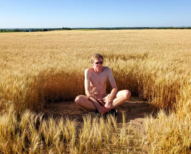 Amber Waves of Pain by Furious_Marmot