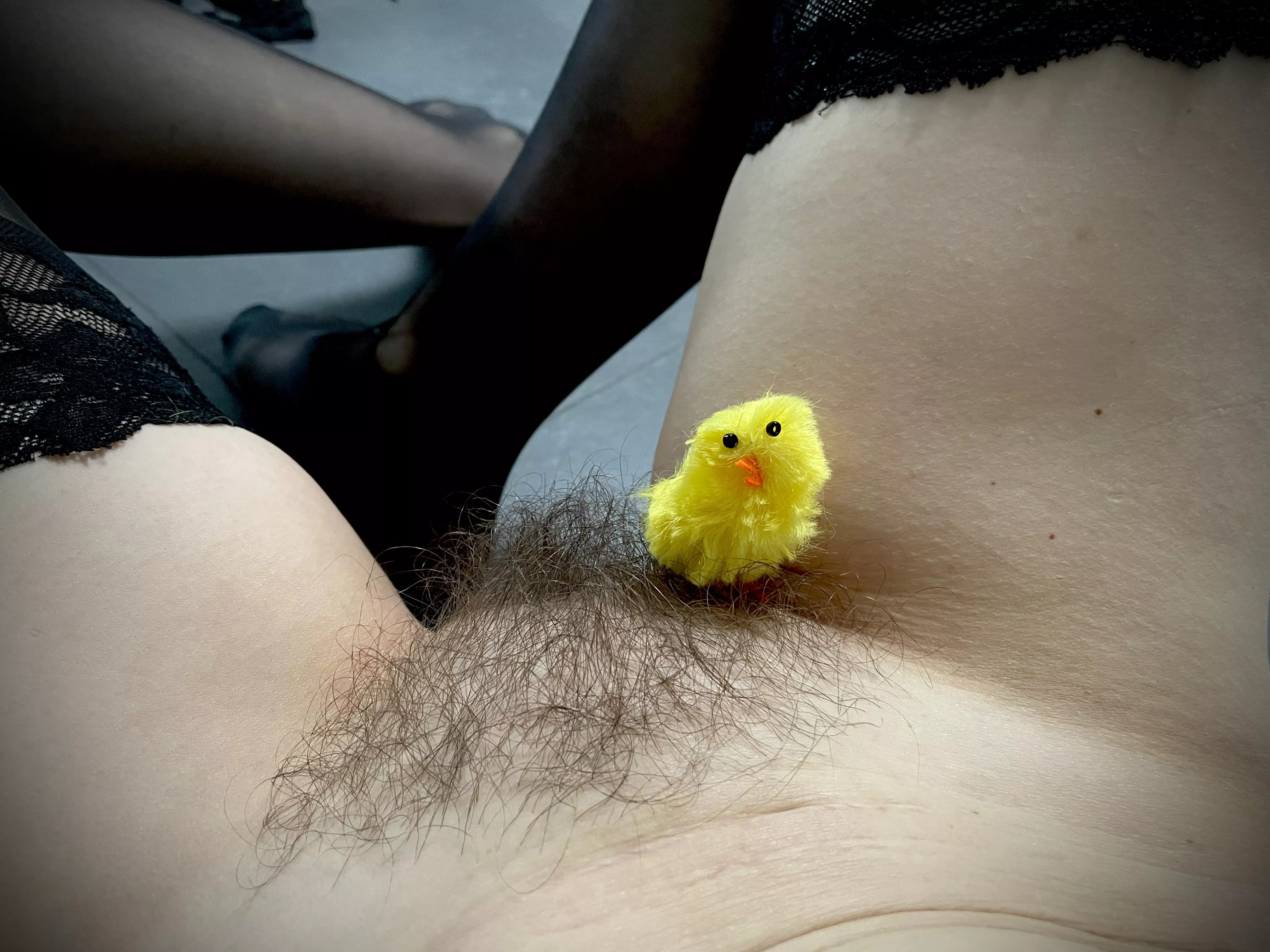 Been growing my own Easter grass for quite a while! posted by Scandinavian_Milf