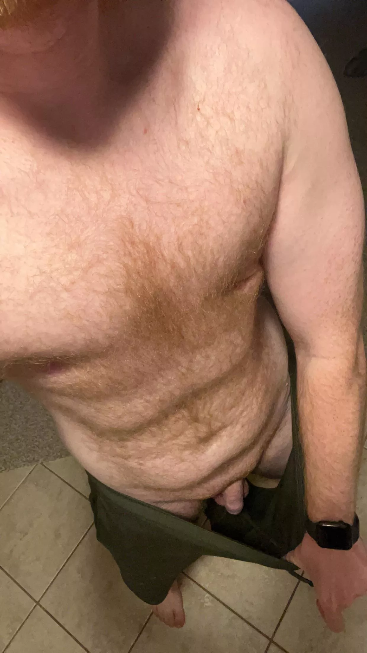 Follow the ginger trail :p posted by goldpeak93