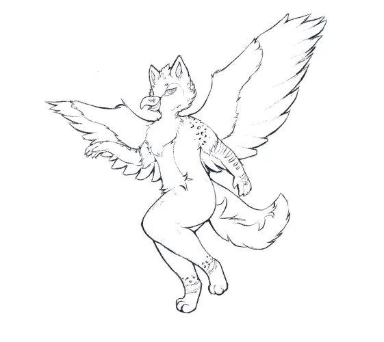 Gryphon! Wings are so fun to sketch by Wensleydaleslug