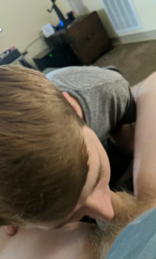 i love sucking a cock with a face full of pubes. link in bio for the video ;) by alexsrich21