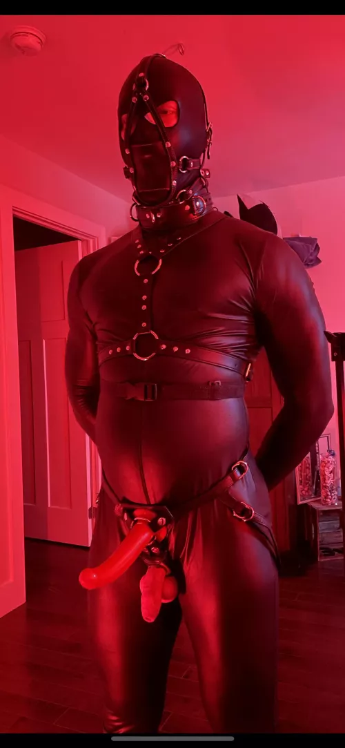 Made him our gimp for the night by TACXO69