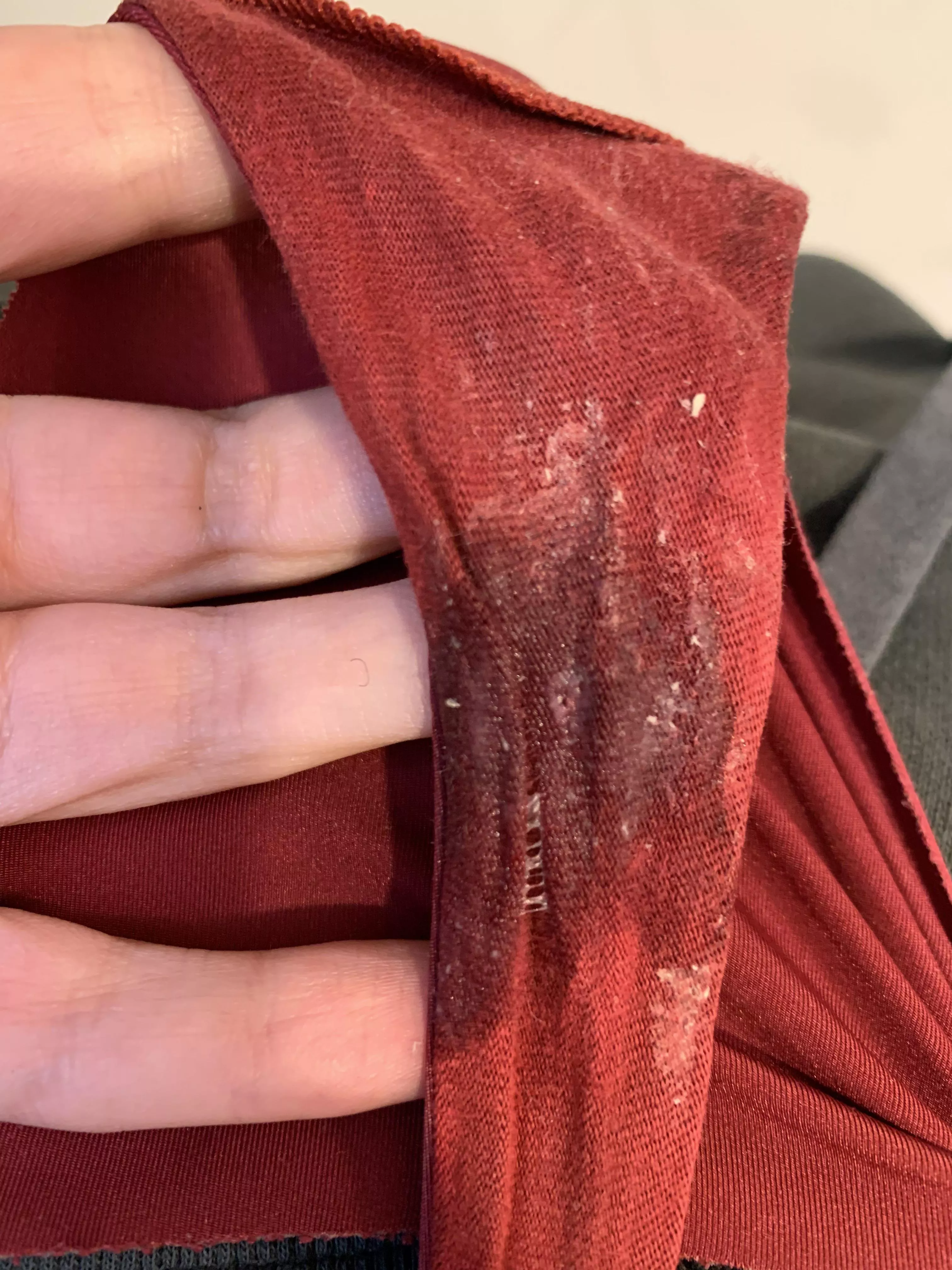 My 🐱 often tries to glue my gussets together posted by AmberSoleMate