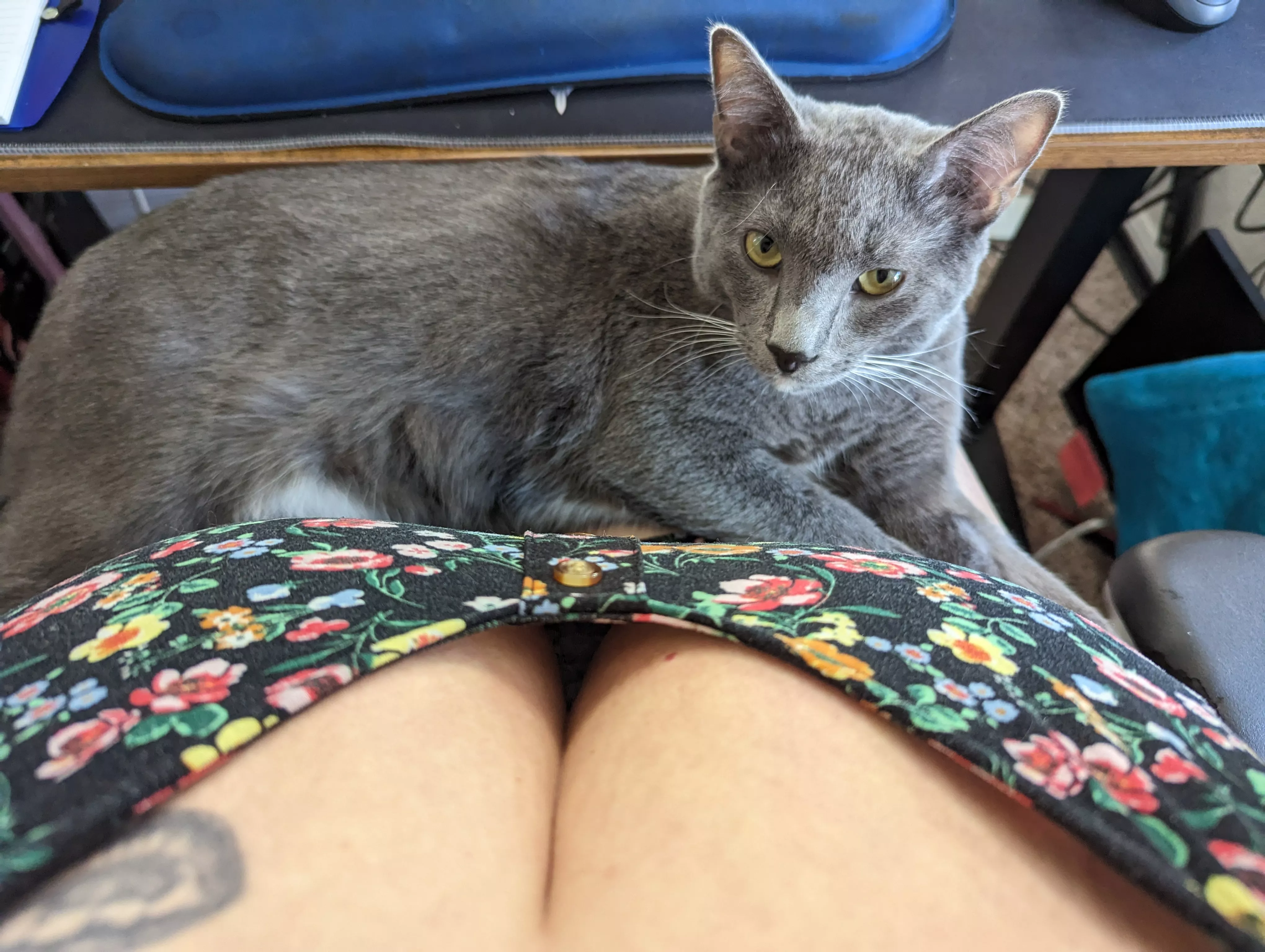 My son is very jealous and territorial! posted by bustysucubus