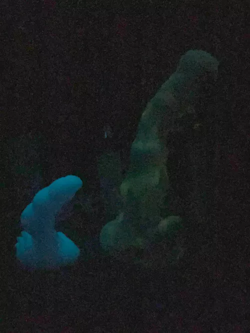 Nocturne/seraphina glow by Writt3n-Sound