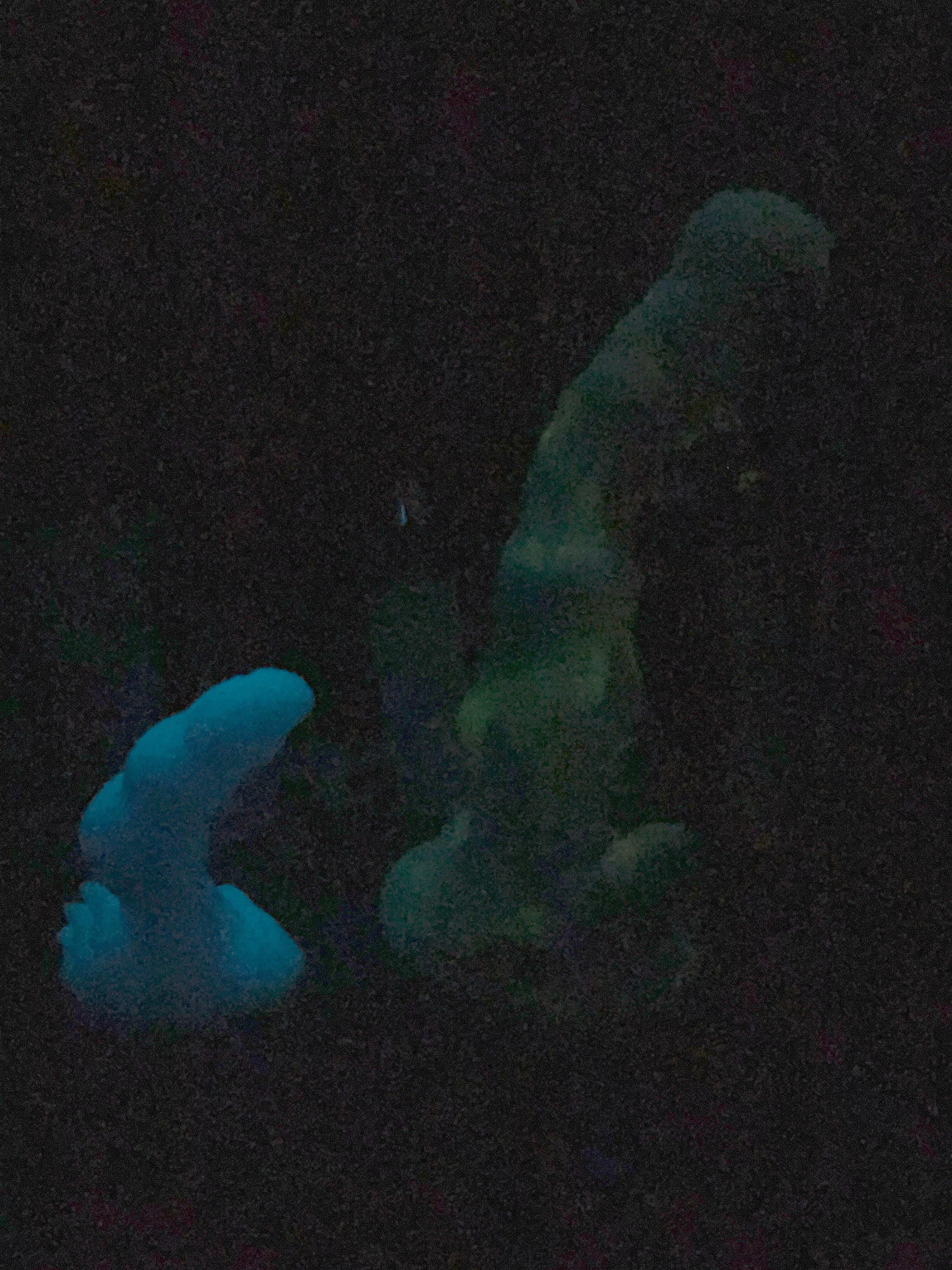 Nocturne/seraphina glow posted by Writt3n-Sound