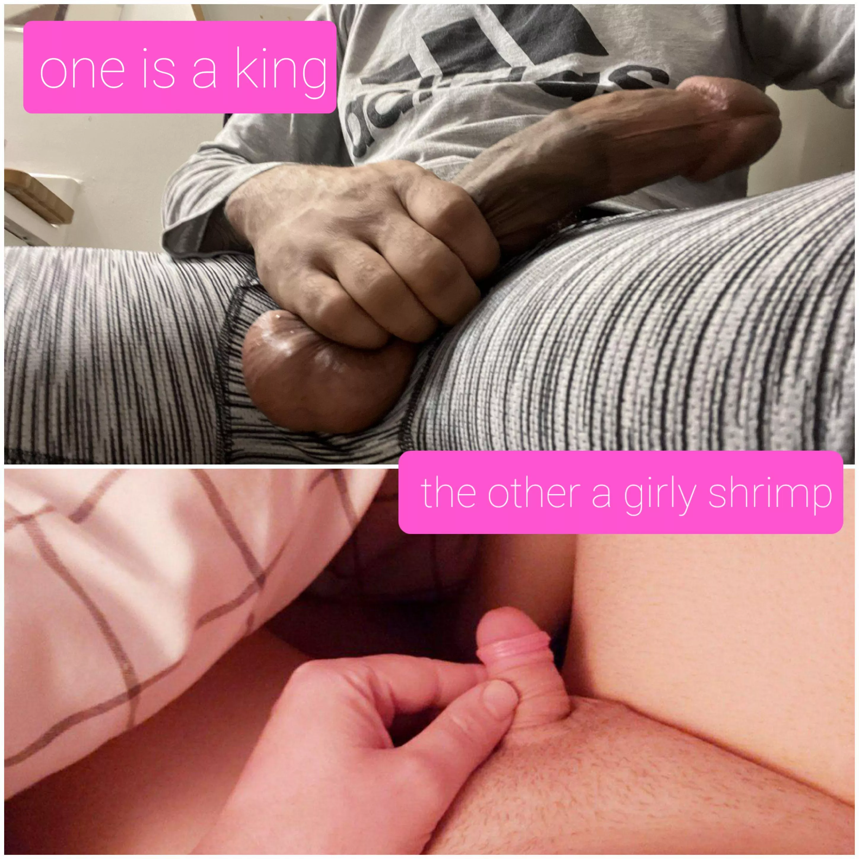 One is the king... posted by Elixurgurl