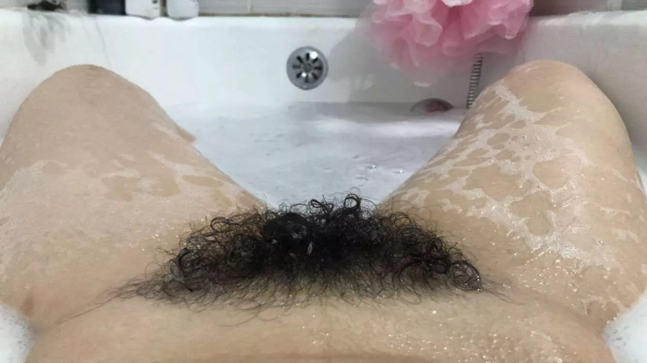 Should I be trimming down my bush? posted by MissFunnyBri