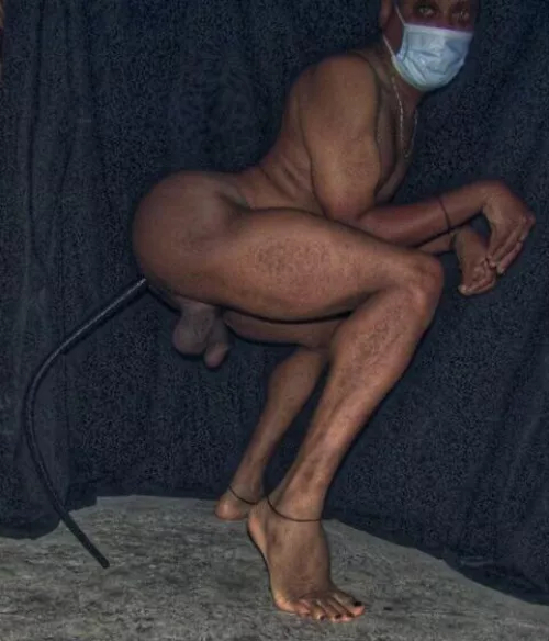 Showing my tail by craigvi