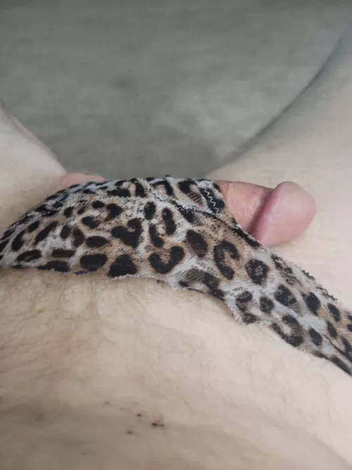 Sister in laws by rknight1974