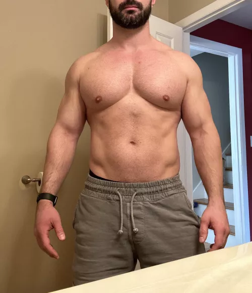 Solid chest day [M] by fitbull6918