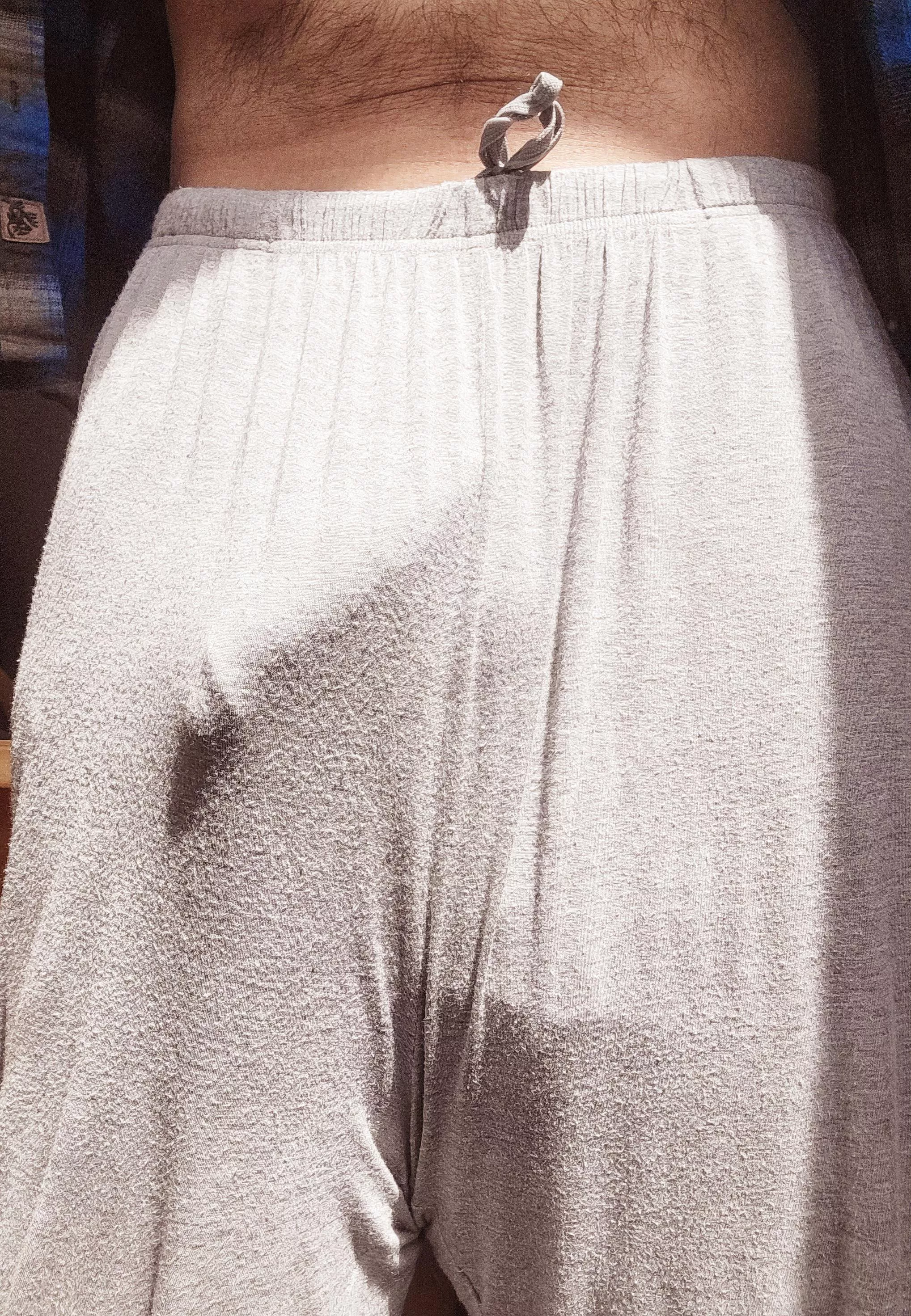 Sunshine feels nice. posted by Extension_Neck_3159