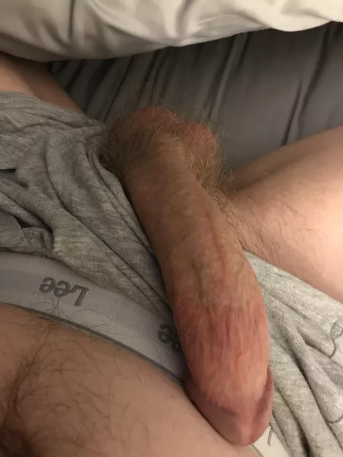 Wanna have fun with these 3? by longdukdonk