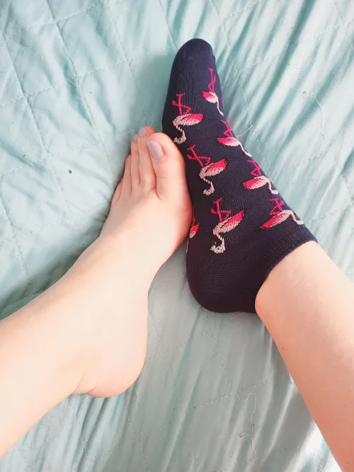 Wanna sniff my birdie? (OC) by SexyFootie