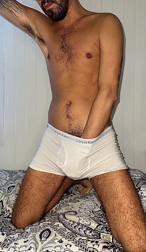 What are you sniffing first? by imjustachiguy