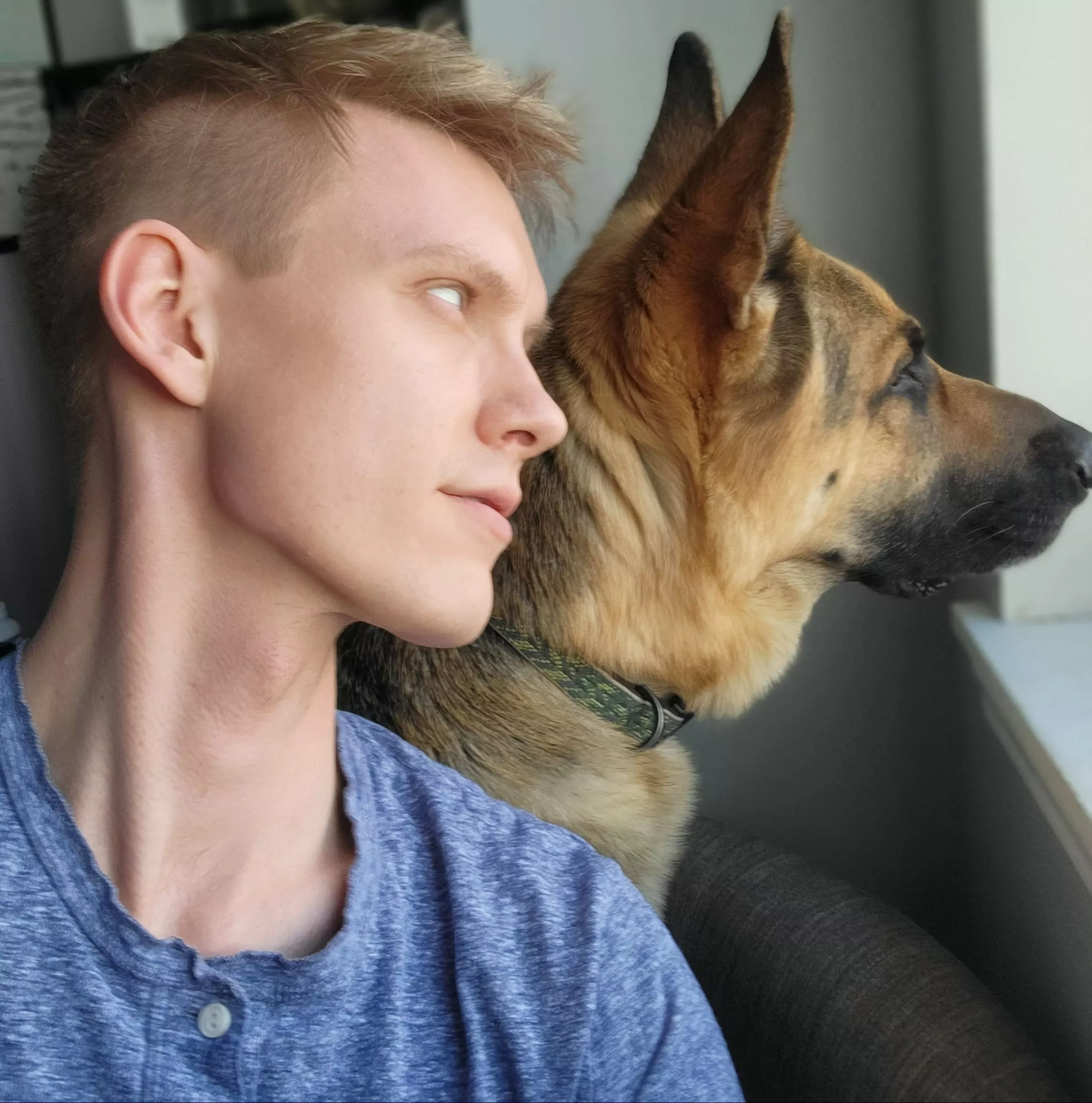 Who let the dogs out? posted by GushingBlush