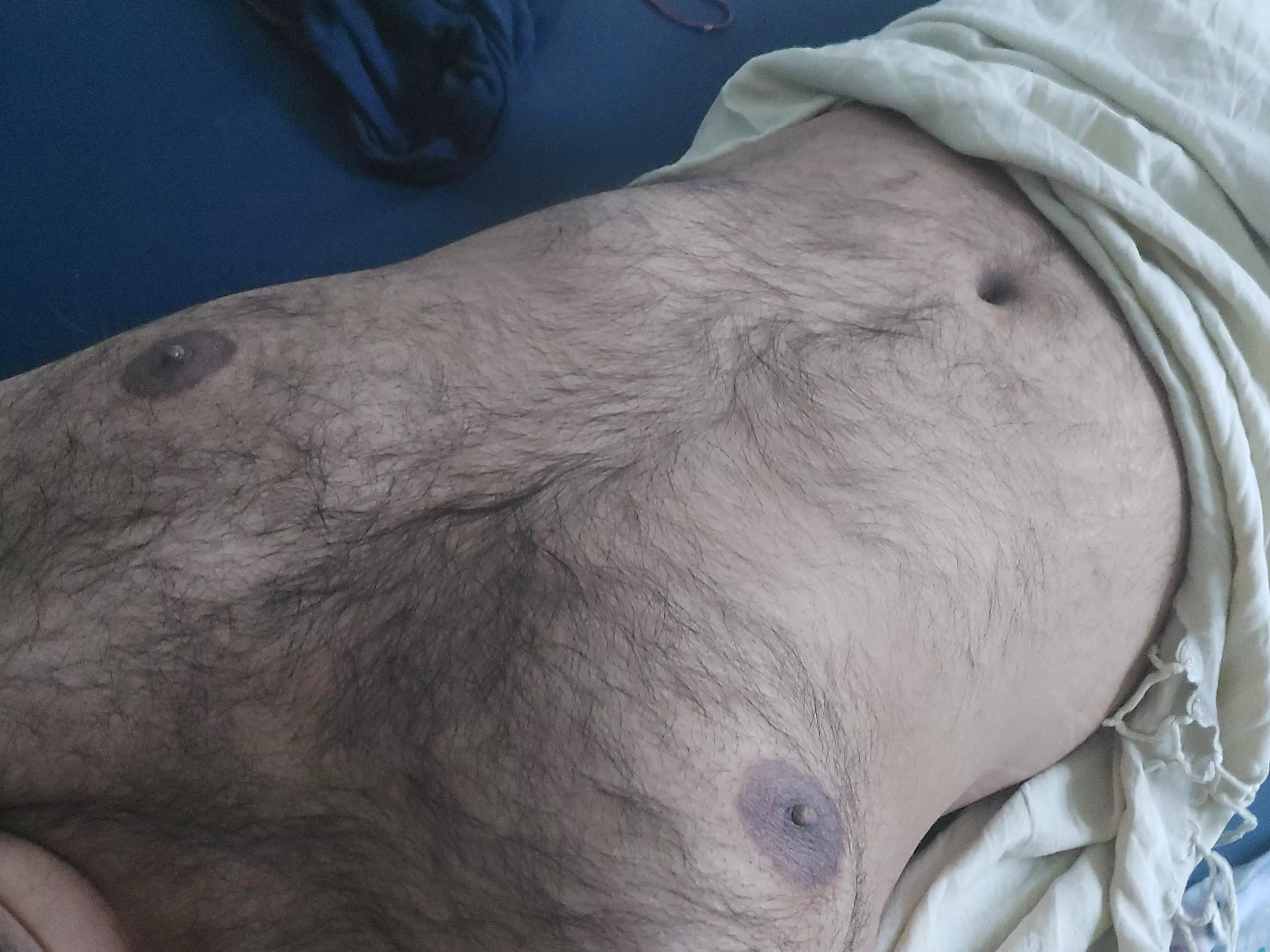 Who likes a hairy bear mommy posted by BrownBear_Bison