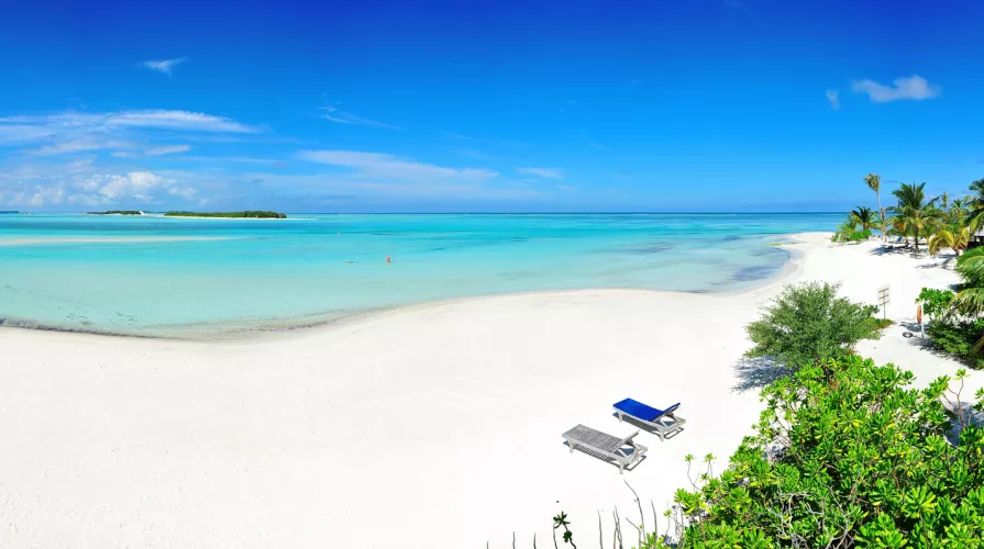 a dream by olivia_isabel