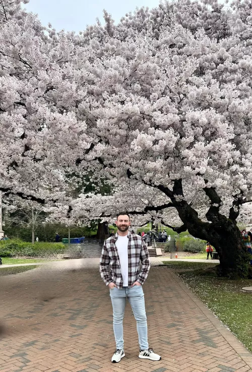 Cherry blossoms at University of Washington by Danieldoeswhat