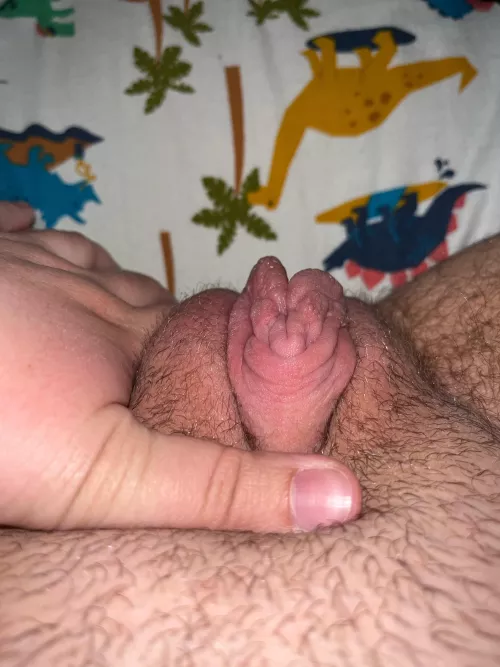 Cute pumped ftm pussy up for grabs 🥵 by HornyFTMboy69