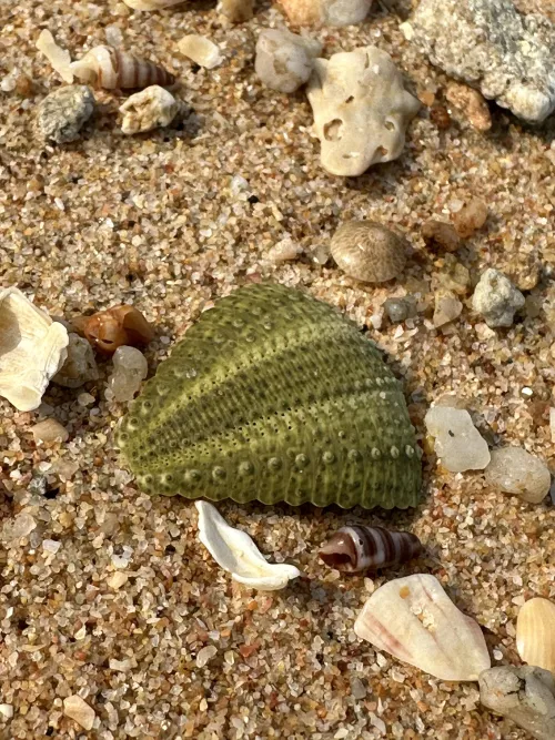 Does anyone know what this is? by Professional-Lab-274