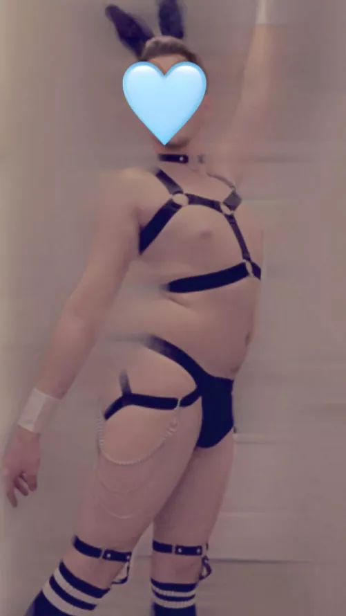 Got some new gear, wanna help me break it in? by StarlightFemboy