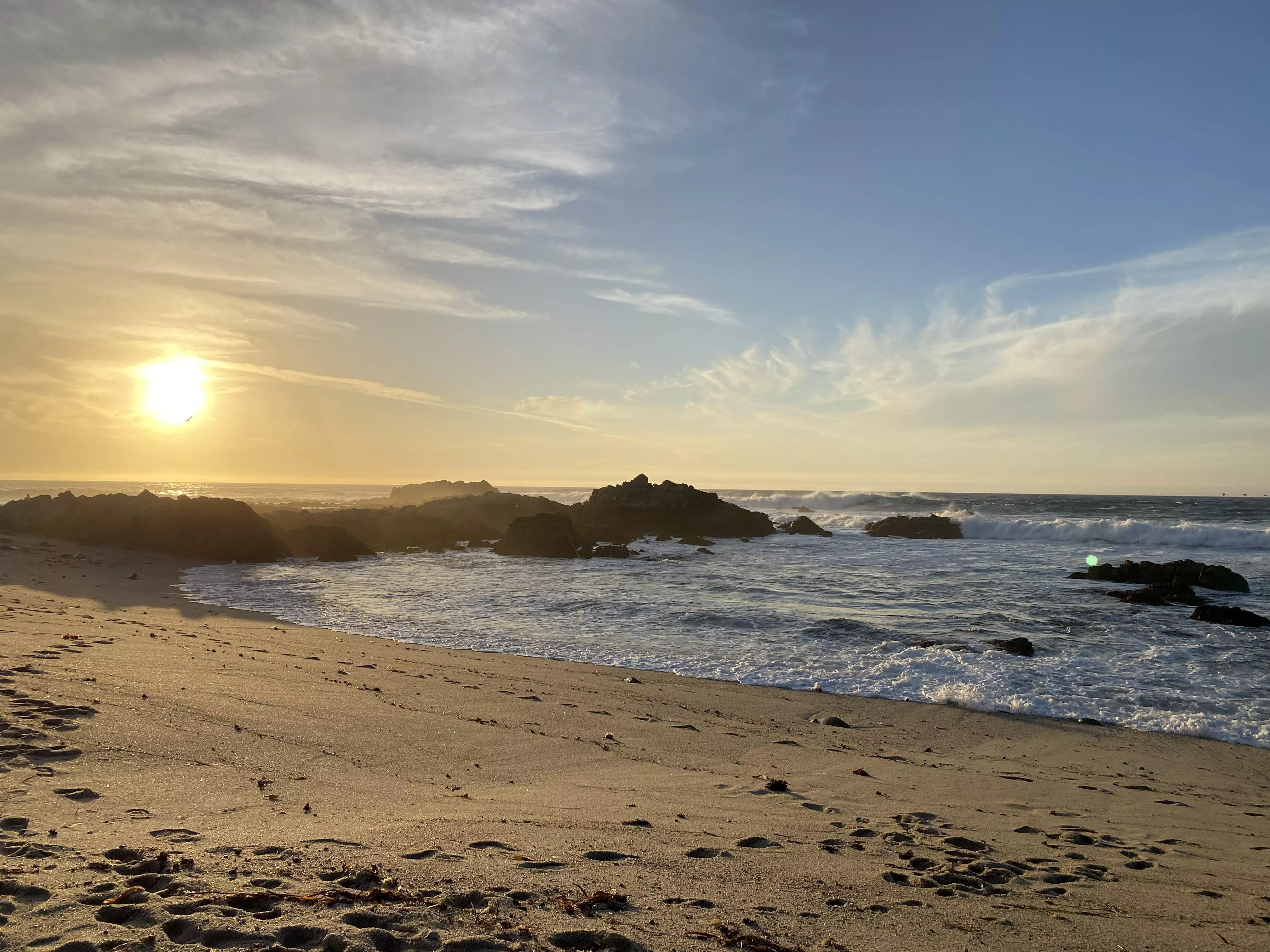 Gotta love California😍 posted by tomcruisesforeskin